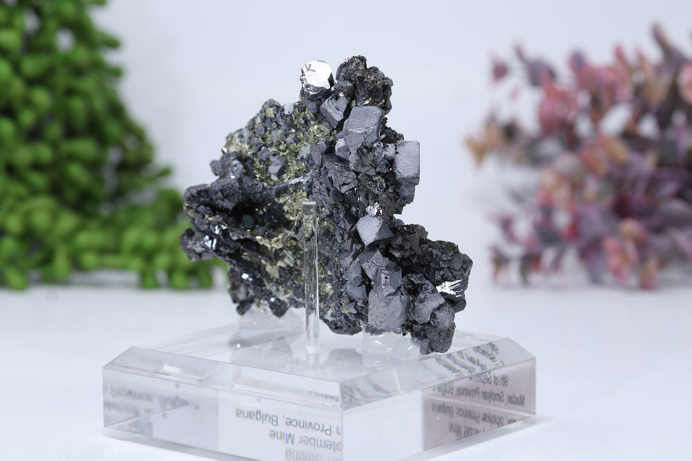 Pyrite on Galena Mounted Specimen from 9th of September Mine DD1806