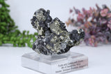Pyrite and Galena Mounted Specimen from 9th of September Mine DD1807