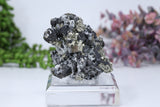 Pyrite and Galena Mounted Specimen from 9th of September Mine DD1807
