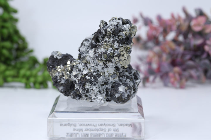 Pyrite and Galena Mounted Specimen from 9th of September Mine DD1807