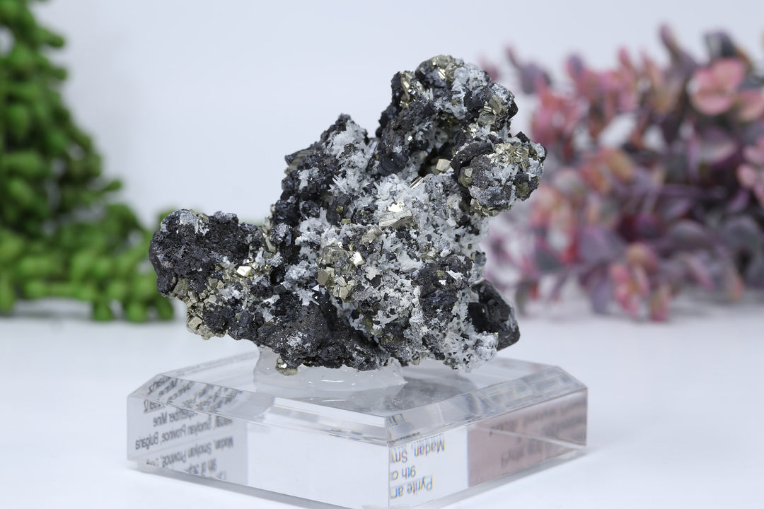 Pyrite and Galena Mounted Specimen from 9th of September Mine DD1807