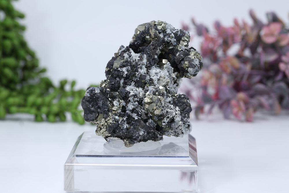 Pyrite and Galena Mounted Specimen from 9th of September Mine DD1807