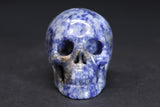 2" Sodalite Skull DD3569