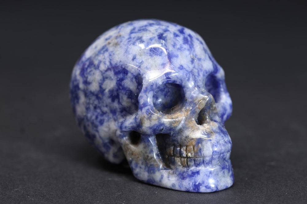 2" Sodalite Skull DD3569