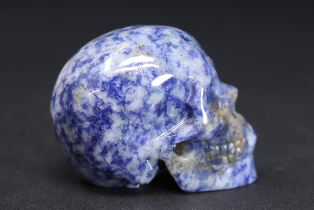 2" Sodalite Skull DD3569