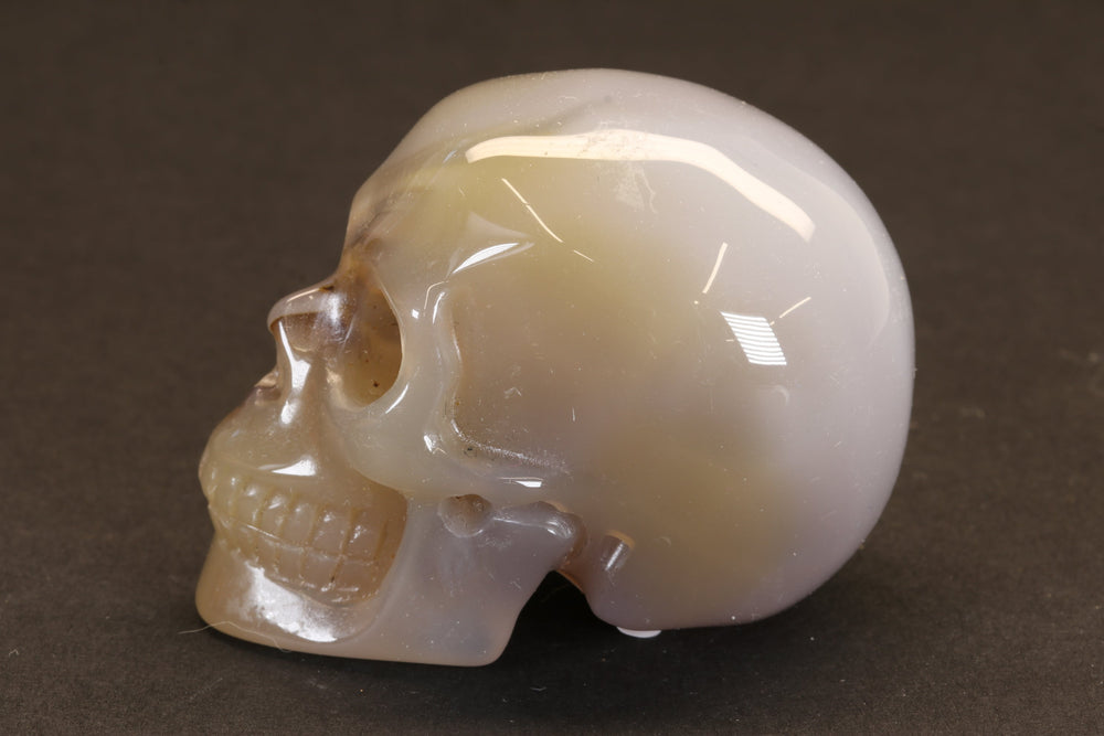 Agate Skull DD2578