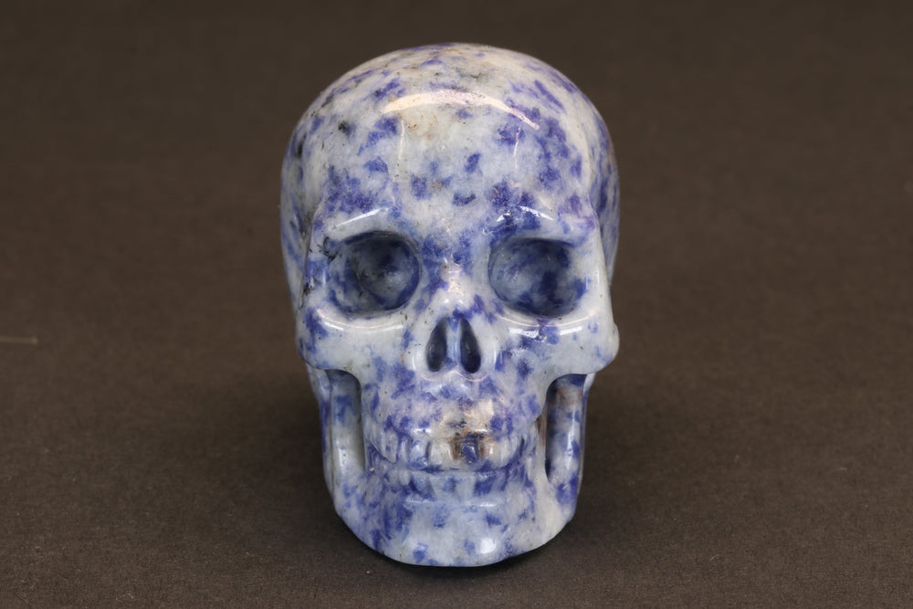 Sodalite Skull DD4178