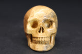 2" Picture Jasper Skull DD4395