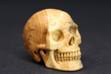 2" Picture Jasper Skull DD4395