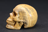 2" Picture Jasper Skull DD4395
