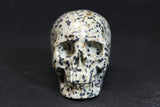 2" Dalmatian Jasper Skull 727DD4532