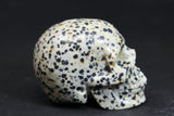 2" Dalmatian Jasper Skull 727DD4532