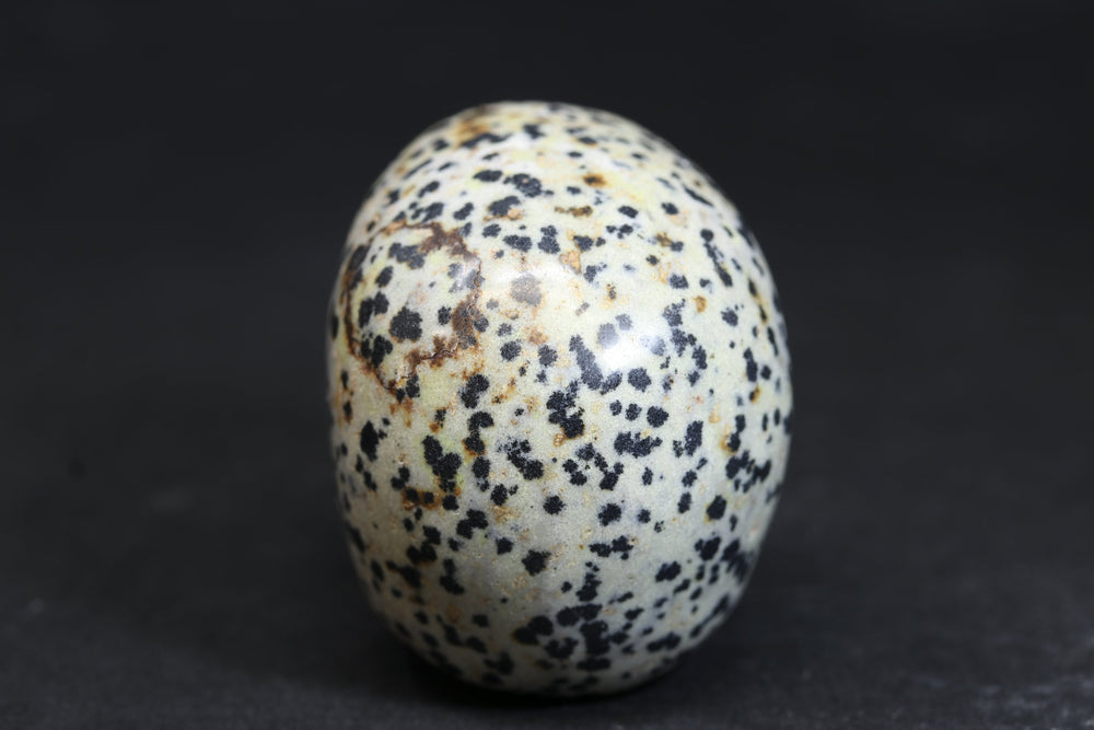 2" Dalmatian Jasper Skull 727DD4532