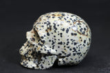 2" Dalmatian Jasper Skull 727DD4532