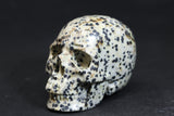 2" Dalmatian Jasper Skull 727DD4532
