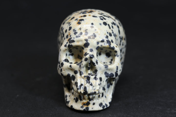 2" Dalmatian Jasper Skull 727DD4536