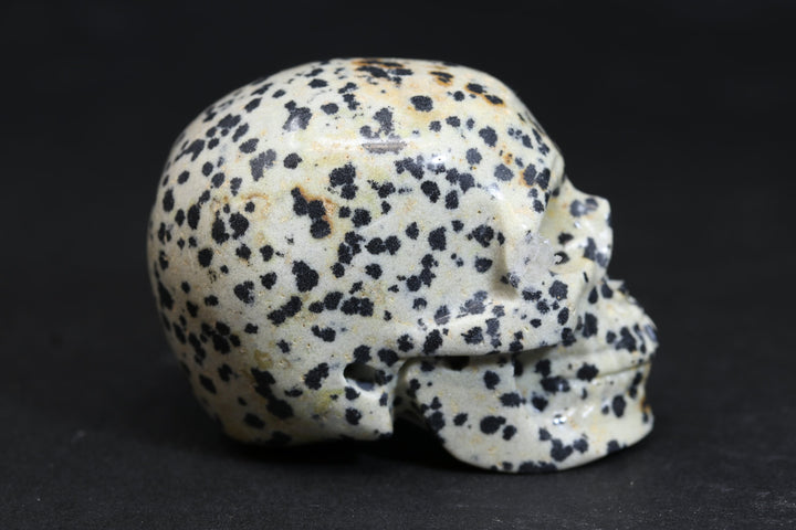 2" Dalmatian Jasper Skull 727DD4536