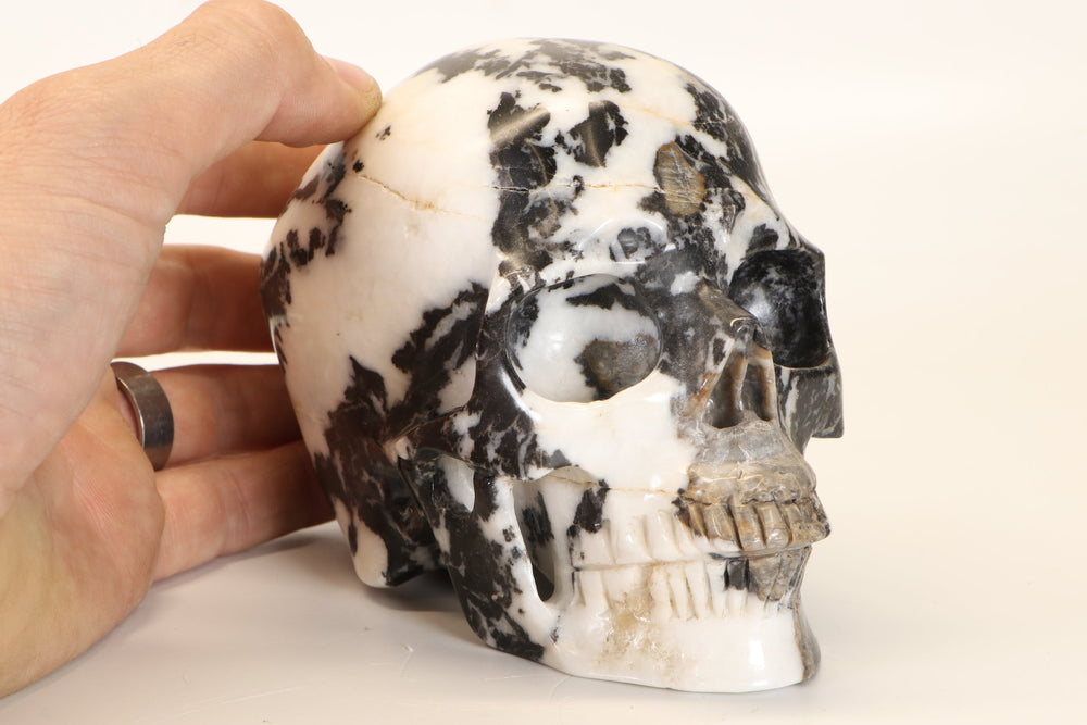 Zebra Jasper Skull Carving DD4542