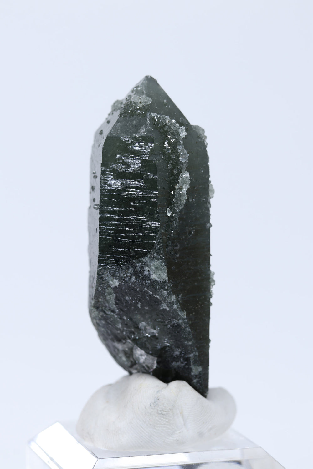 2.5" Hedenbergite Included Quartz DD921