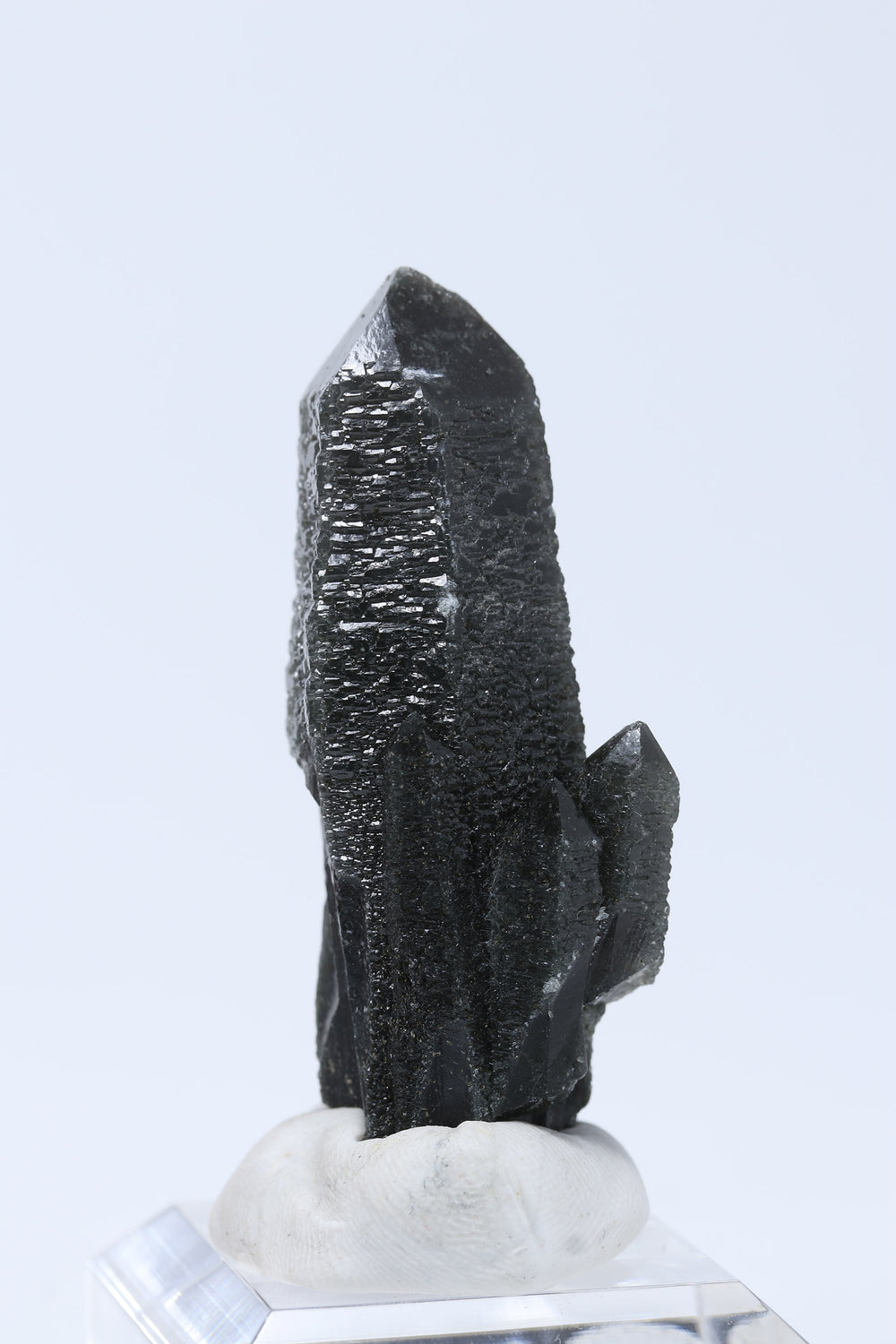 2.25" Hedenbergite Included Quartz DD922