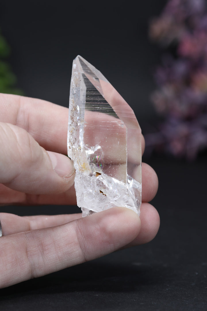 2.5" Colombian Lemurian DE146