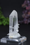 2.75" DT Self Healed Colombian Lemurian DE162