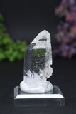 3" Colombian Lemurian DE163