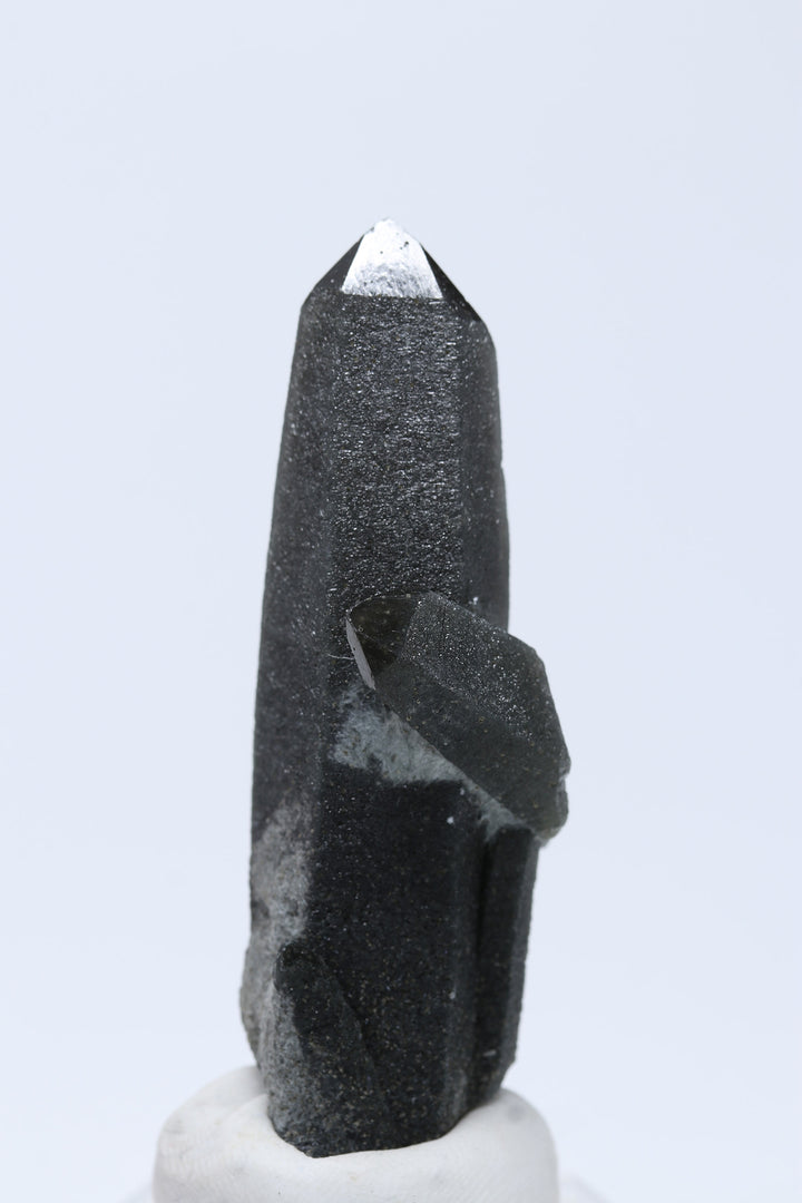 2.5" Hedenbergite Included Quartz DE374