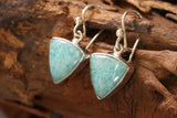 Amazonite Earrings DM070
