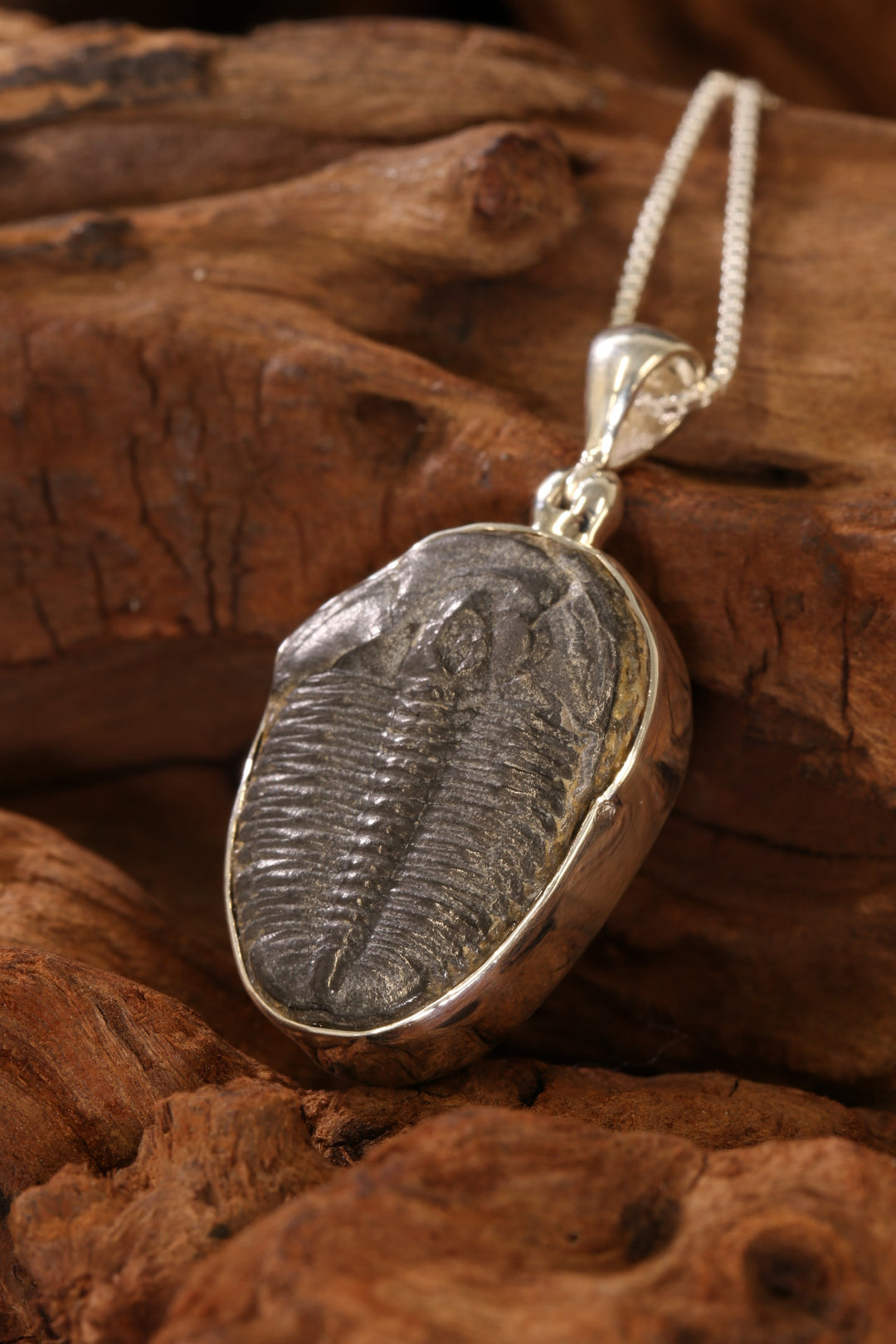 Trilobite Fossil Pendant DS1916