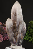 7.5" Guerrero Amethyst DM1002