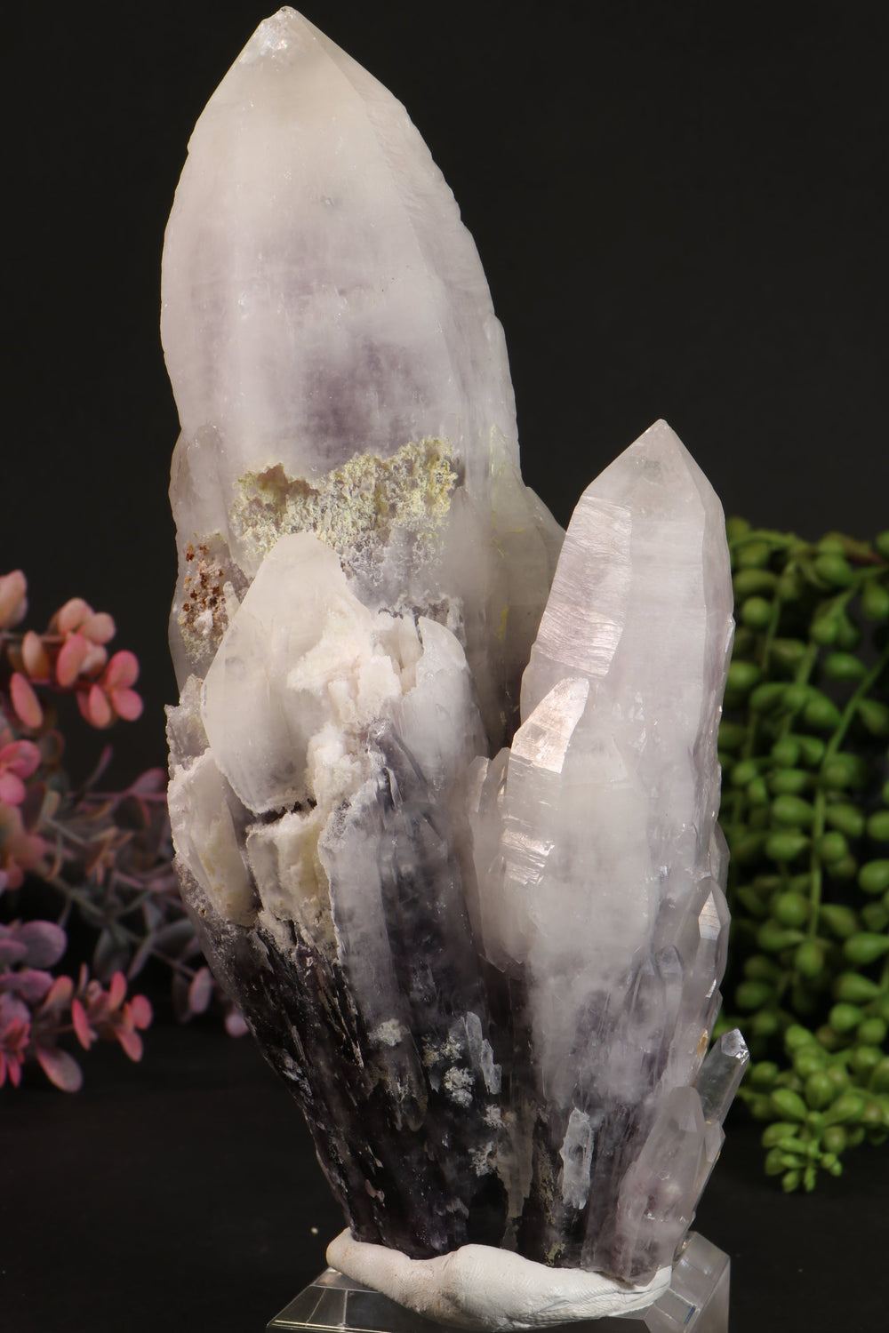 7.5" Guerrero Amethyst DM1002