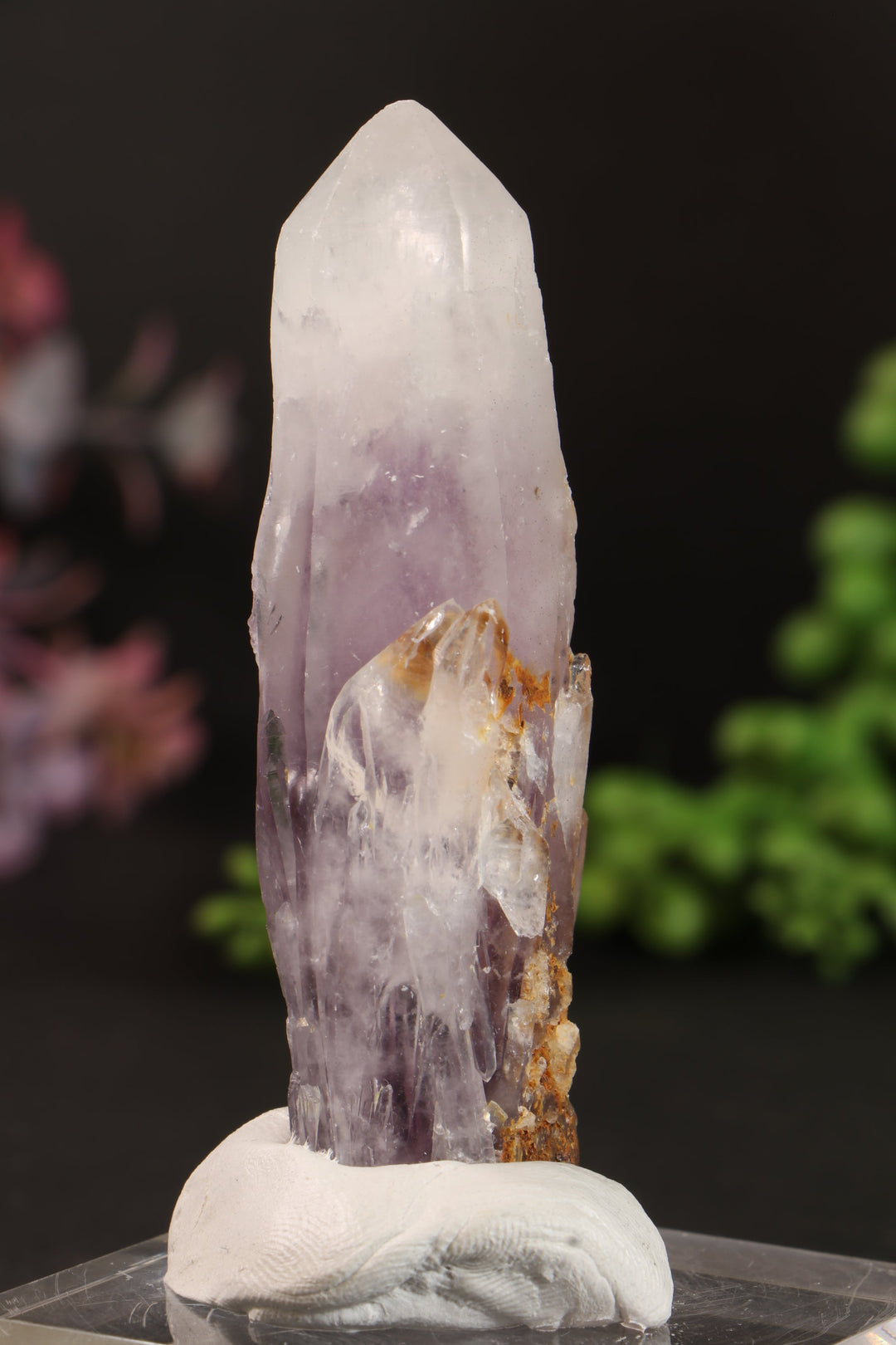 3" Guerrero Amethyst DM1161