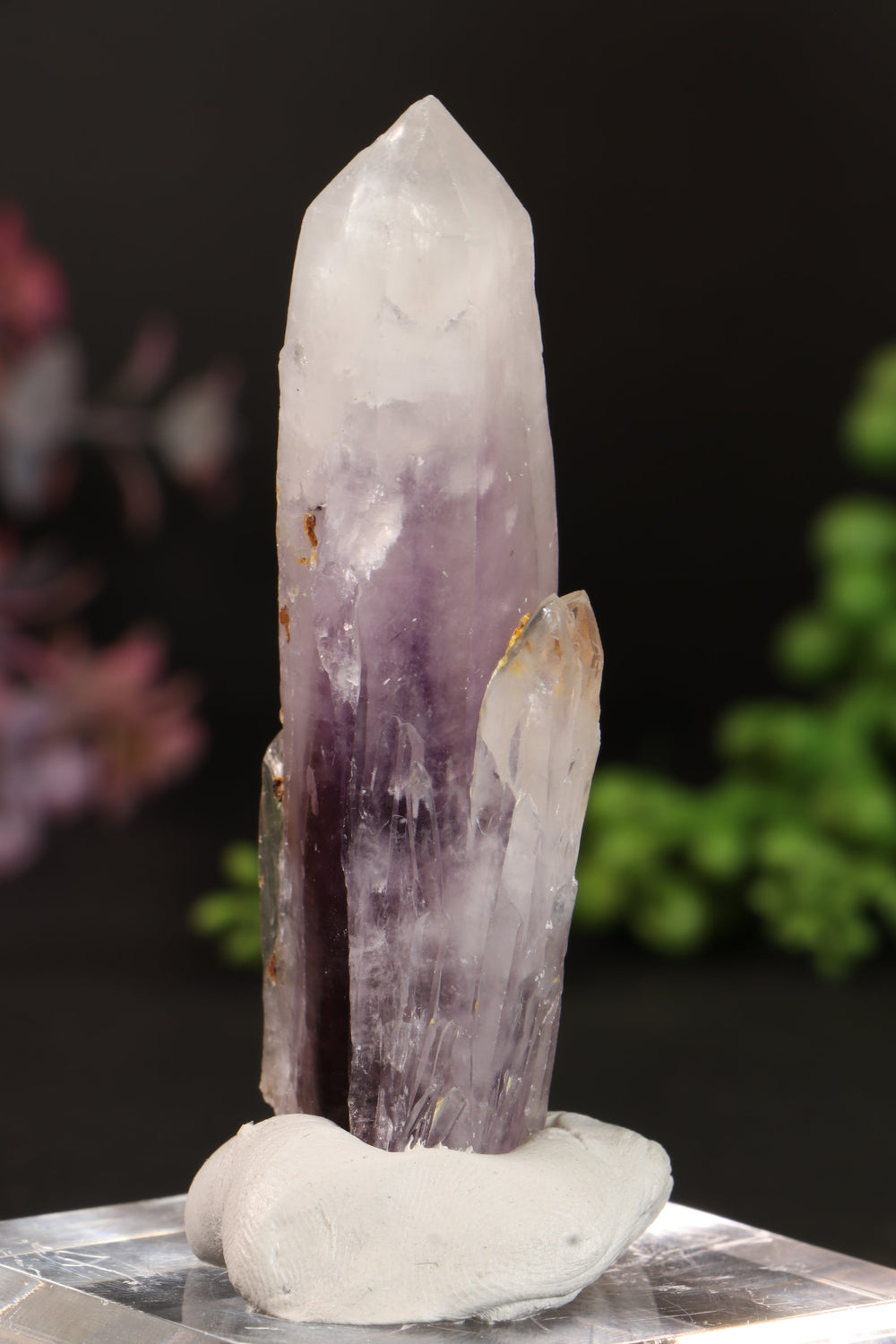 3" Guerrero Amethyst DM1161