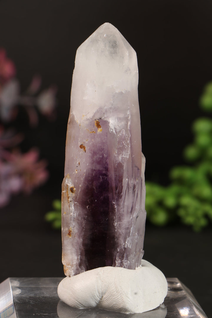 3" Guerrero Amethyst DM1161