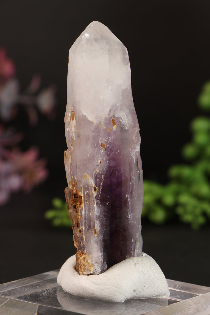 3" Guerrero Amethyst DM1161