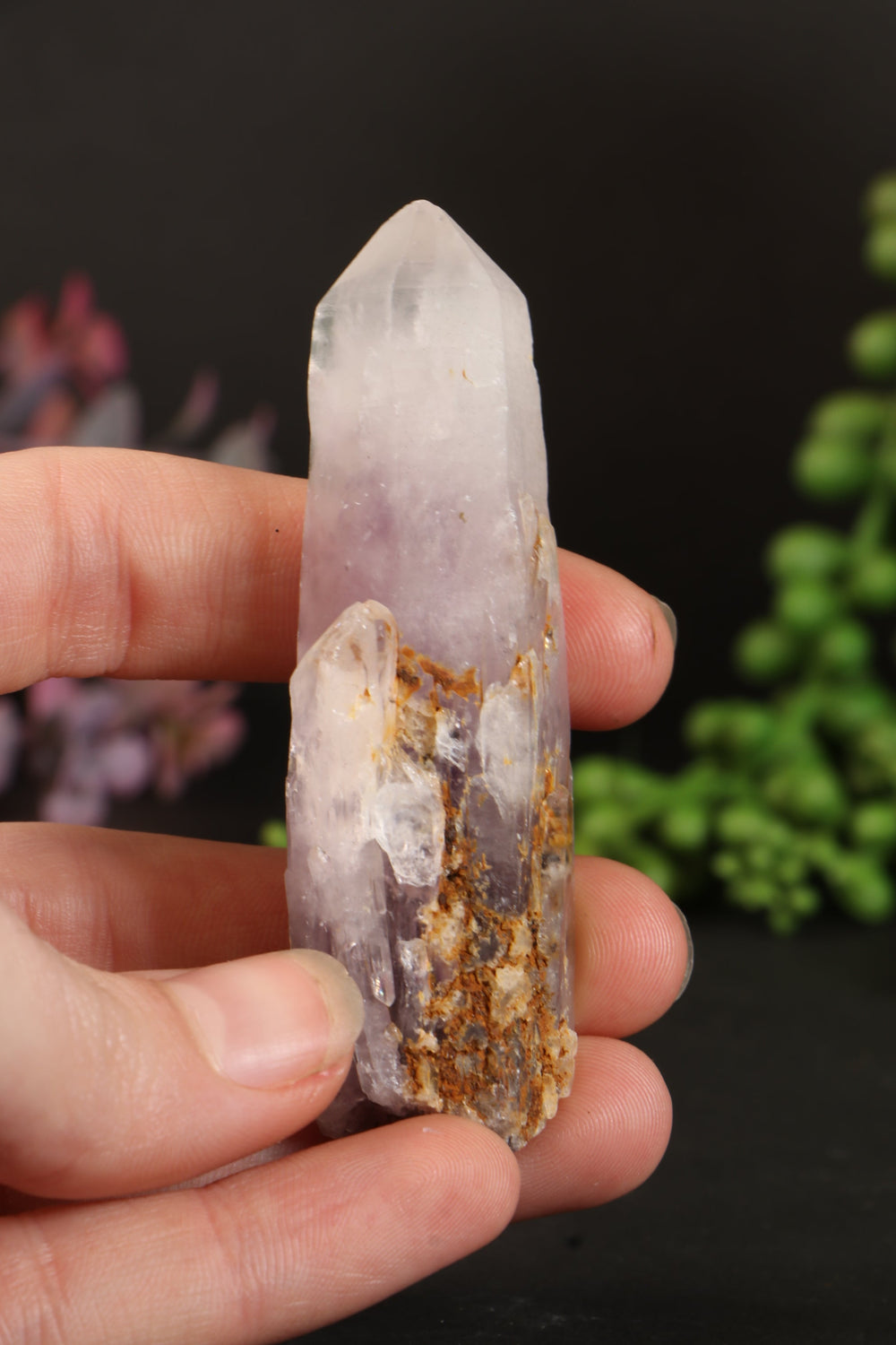 3" Guerrero Amethyst DM1161