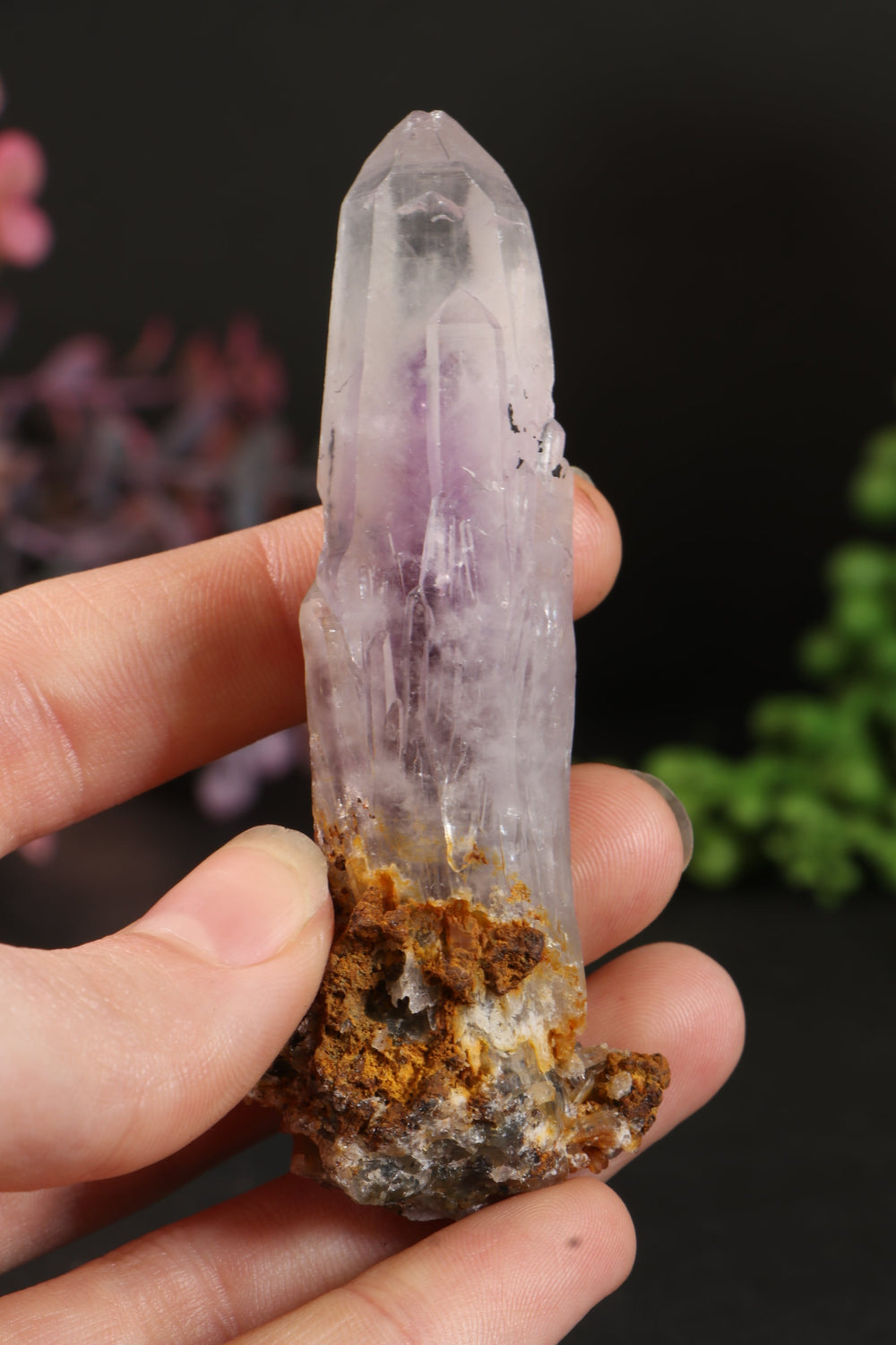 3.5" Guerrero Amethyst DM1162