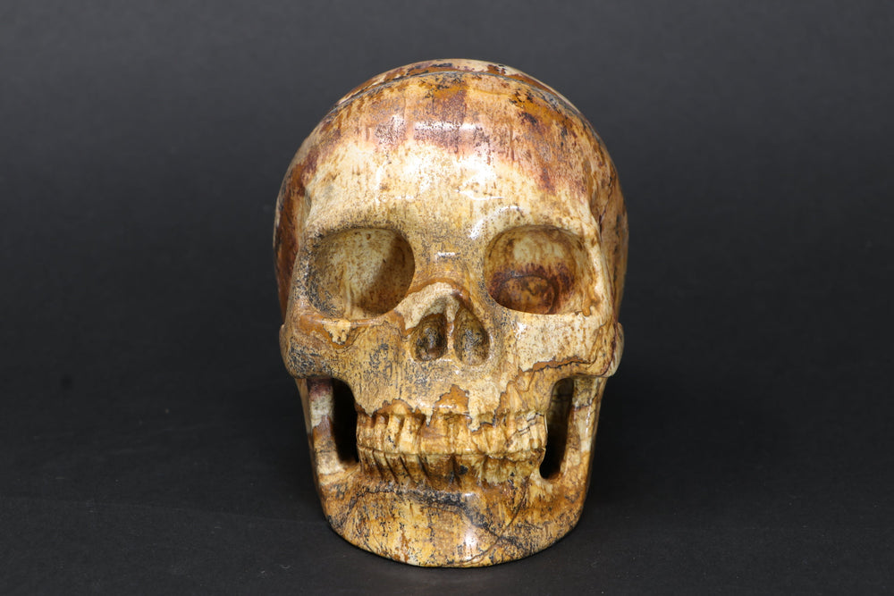 Dendritic Siltstone Skull DM1193