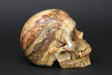 Dendritic Siltstone Skull DM1193