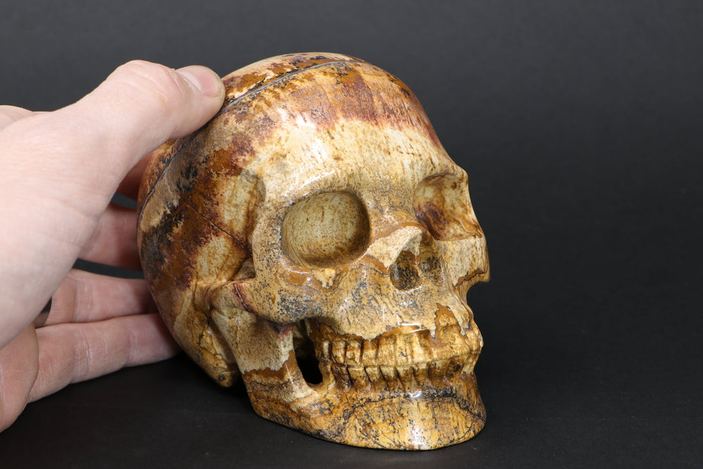 Dendritic Siltstone Skull DM1193