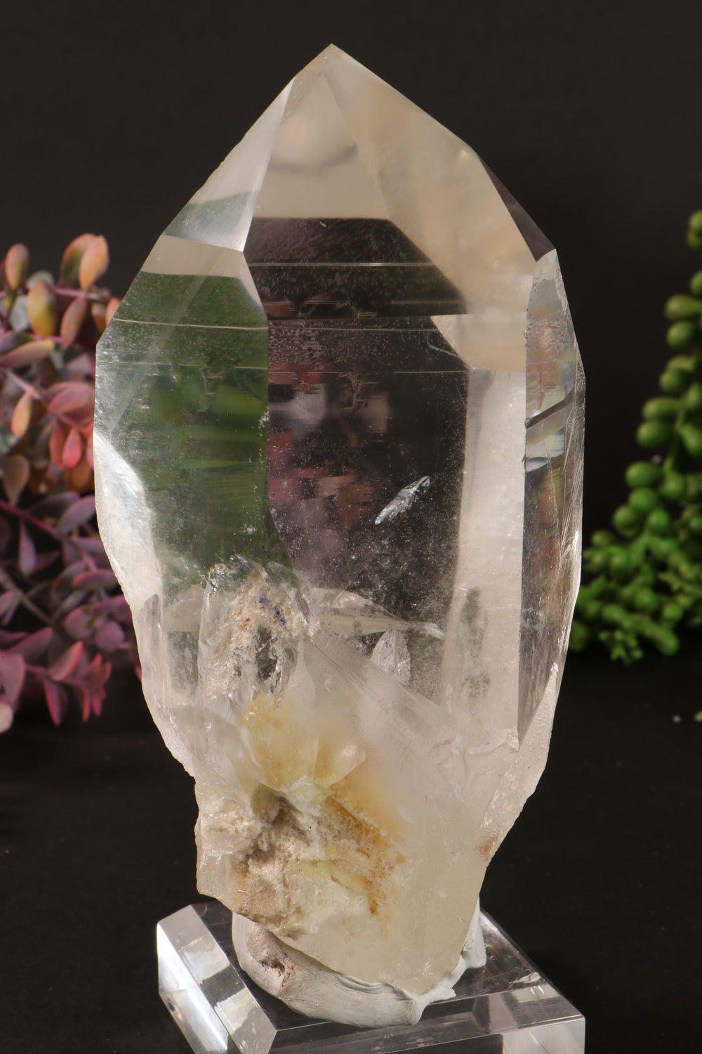 Phantom Lemurian DM1249
