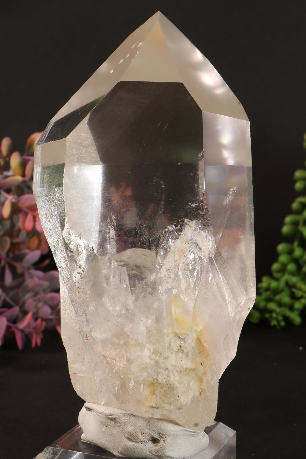 Phantom Lemurian DM1249