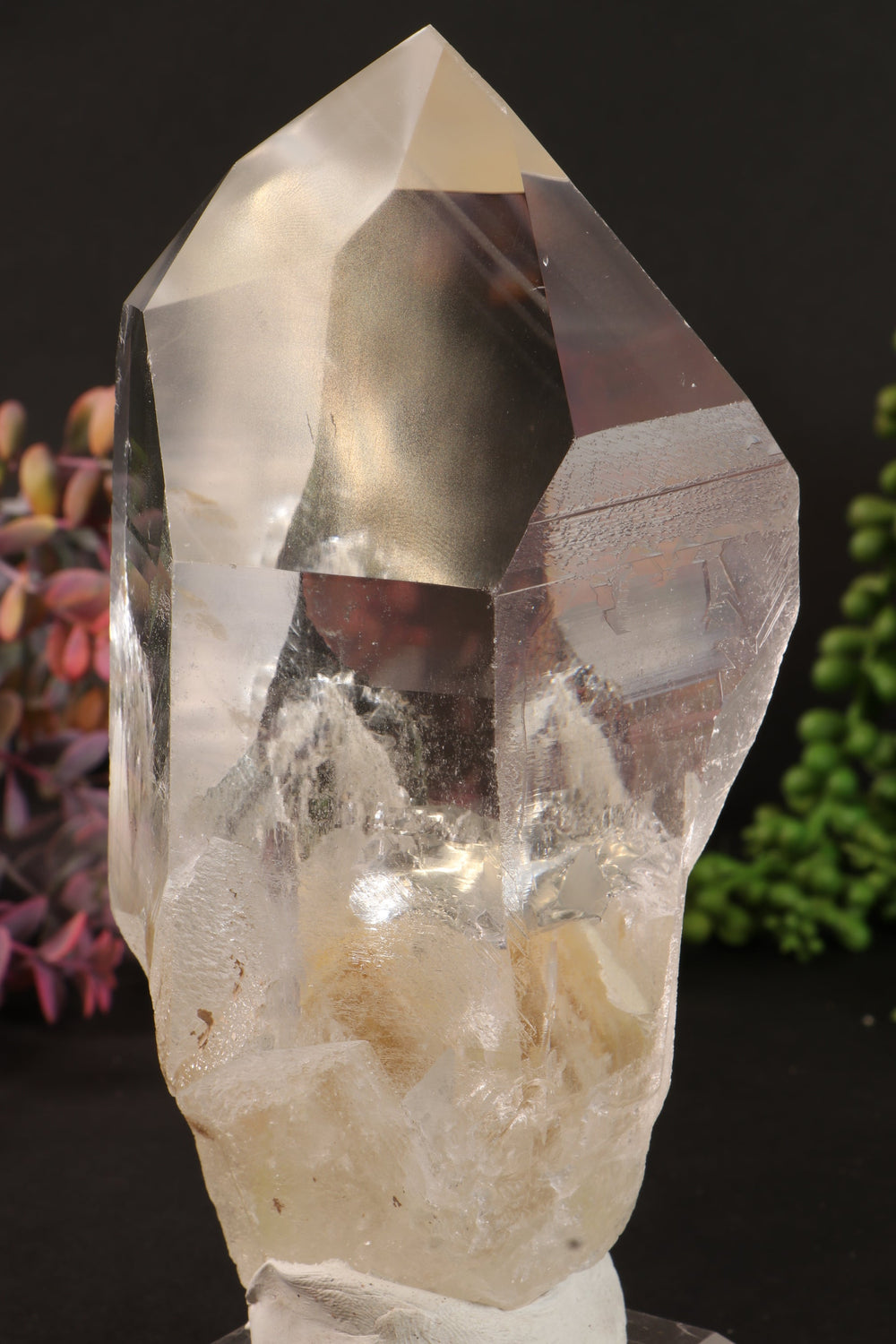 Phantom Lemurian DM1249