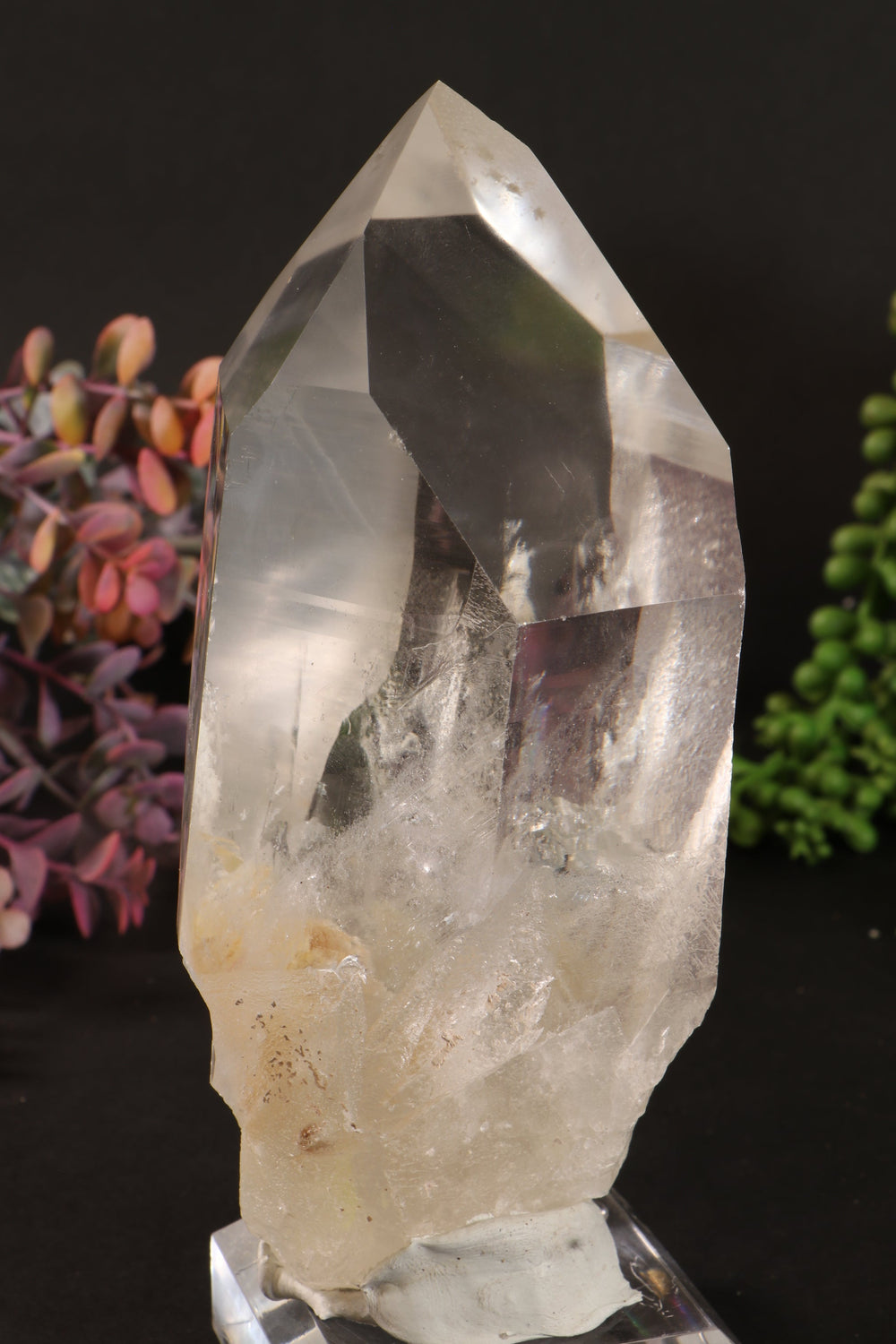 Phantom Lemurian DM1249