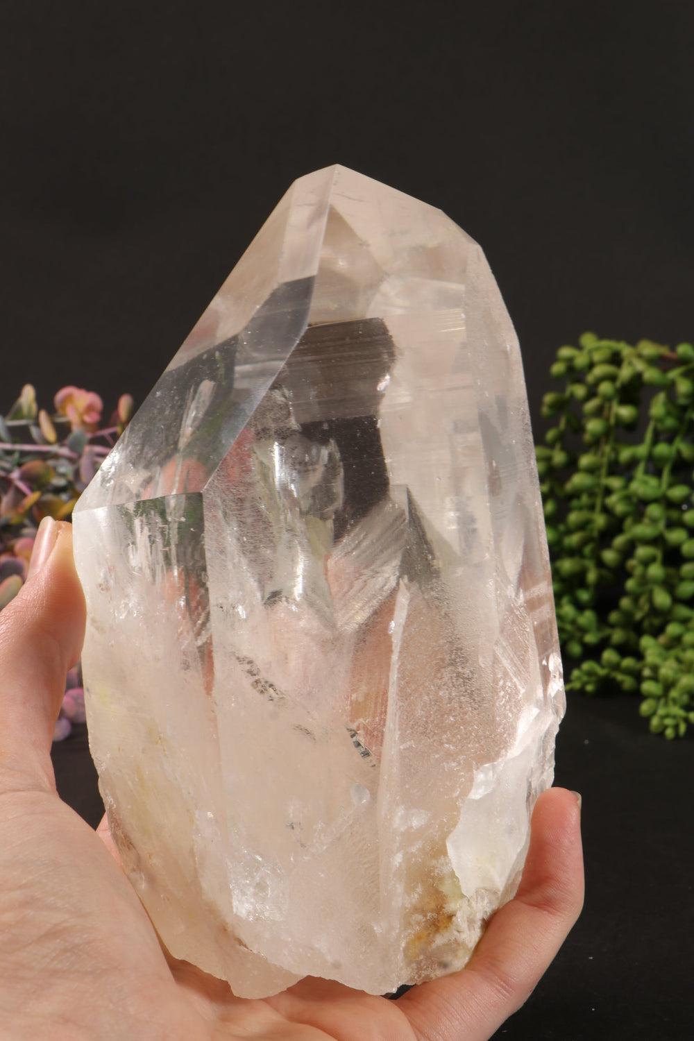 Phantom Lemurian DM1251