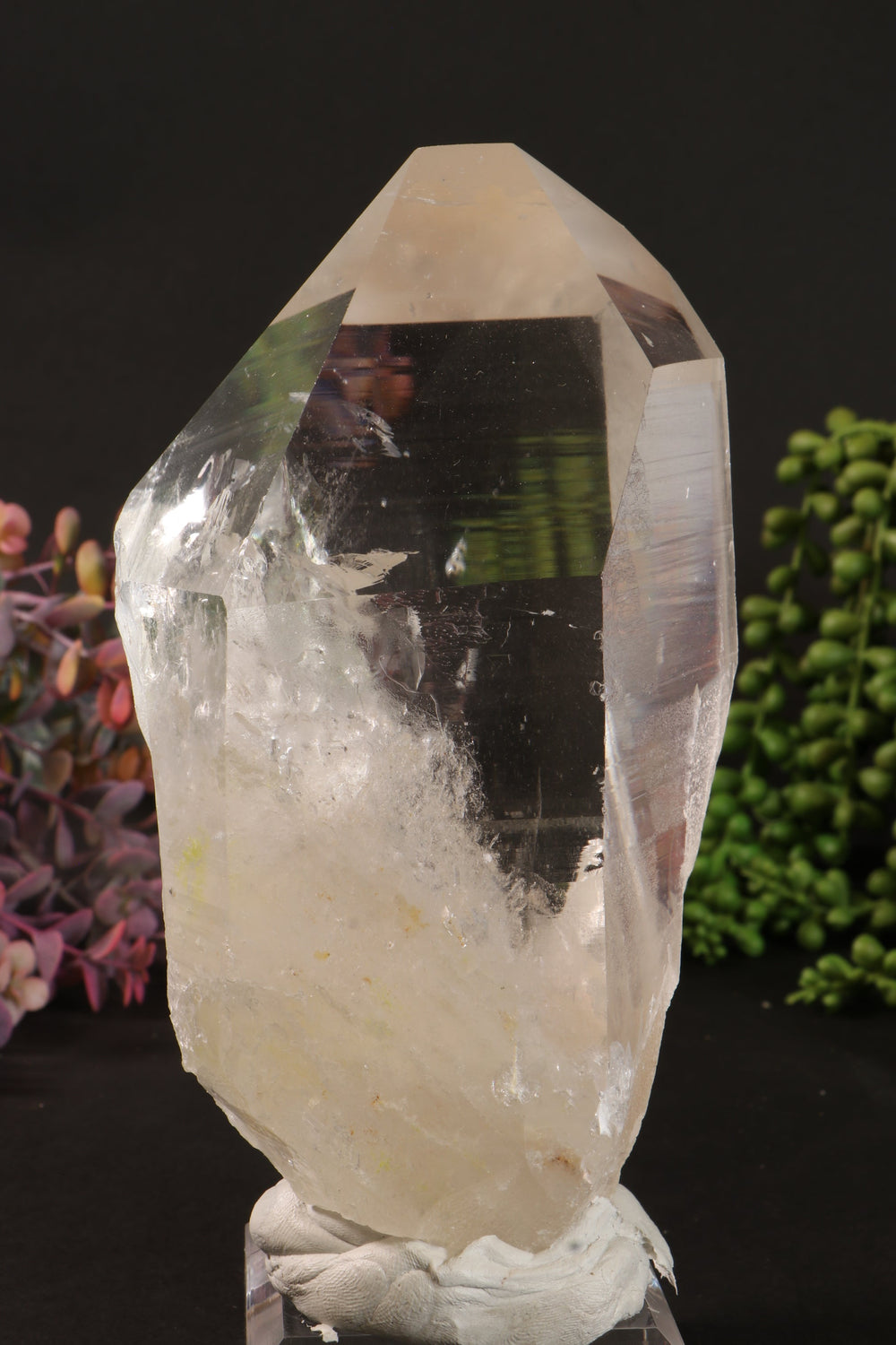 Phantom Lemurian DM1251
