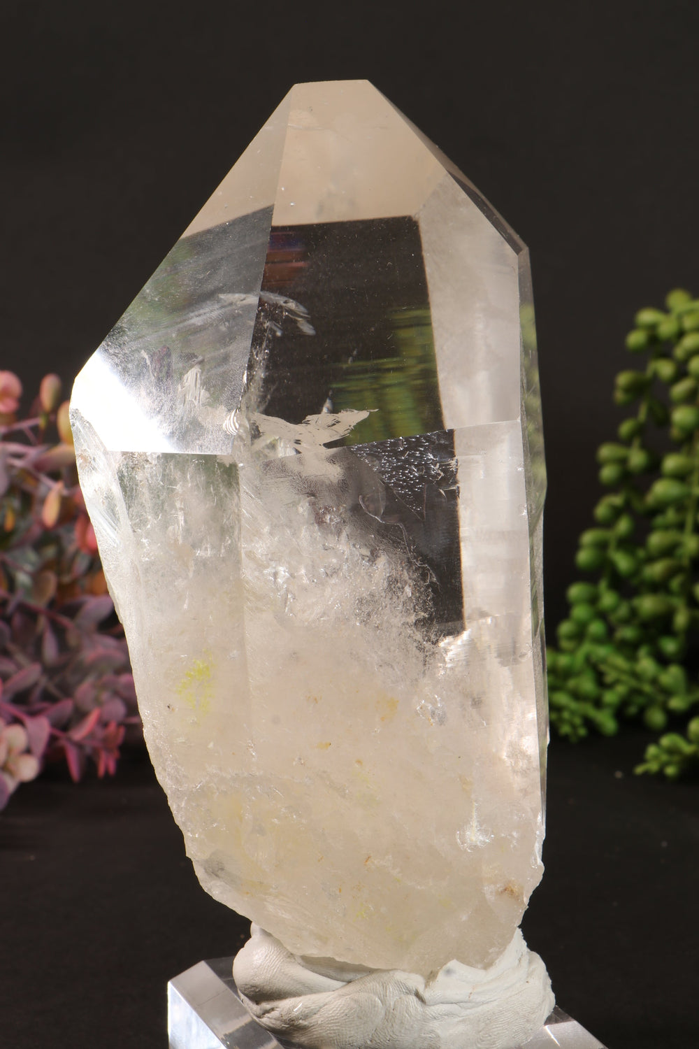 Phantom Lemurian DM1251