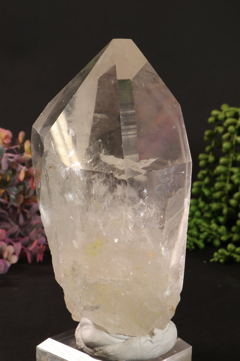 Phantom Lemurian DM1251