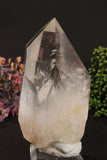 Phantom Lemurian DM1251